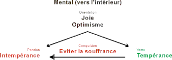 Structure du type 7